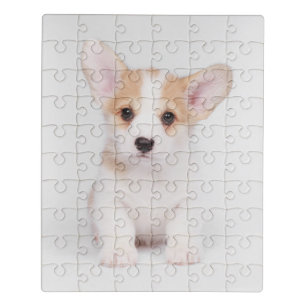 Cutest Baby Animals White Corgi Puppy Jigsaw Puzzle