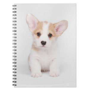 Cutest Baby Animals White Corgi Puppy Notebook