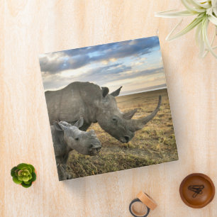 Cutest Baby Animals   White Rhino & Calf 3 Ring Binder