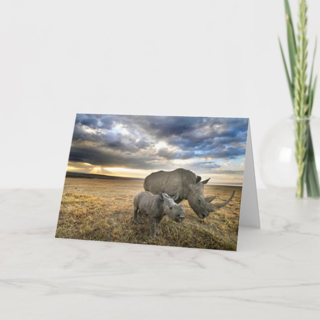 Cutest Baby Animals | White Rhino & Calf Card (Front)