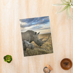 Cutest Baby Animals   White Rhino & Calf Mini Binder