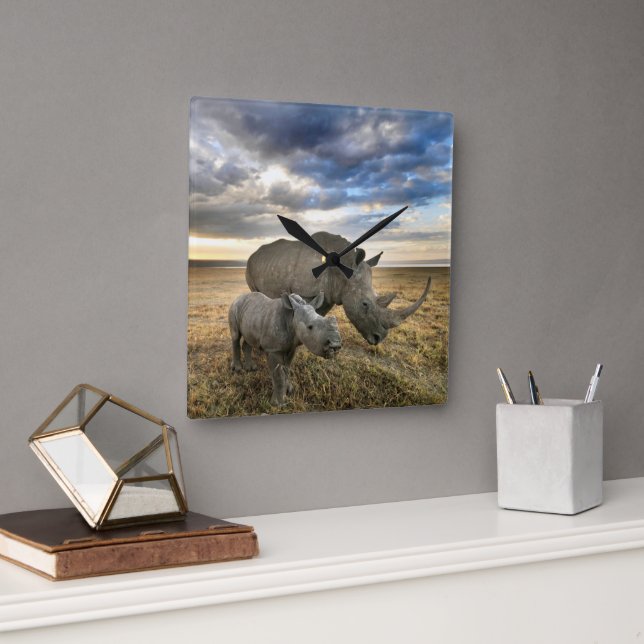 Cutest Baby Animals | White Rhino & Calf Square Wall Clock (Office)