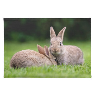 Cutest Baby Animals Wild Bunny Rabbits Cloth Placemat