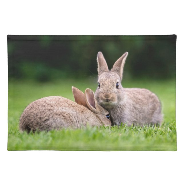 Cutest Baby Animals | Wild Bunny Rabbits Cloth Placemat (Front)