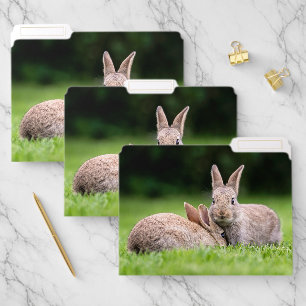 Cutest Baby Animals Wild Bunny Rabbits File Folder