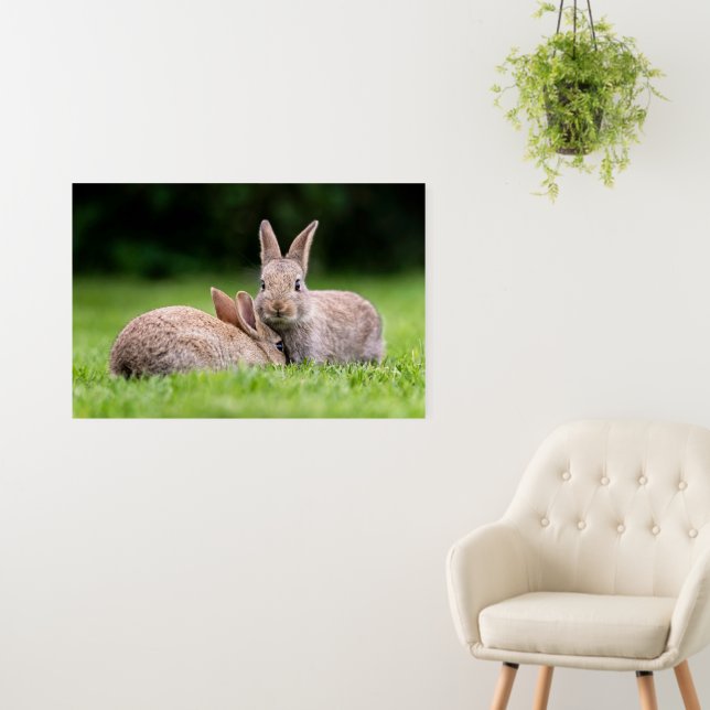 Cutest Baby Animals | Wild Bunny Rabbits Foam Board (In Situ (Wall))