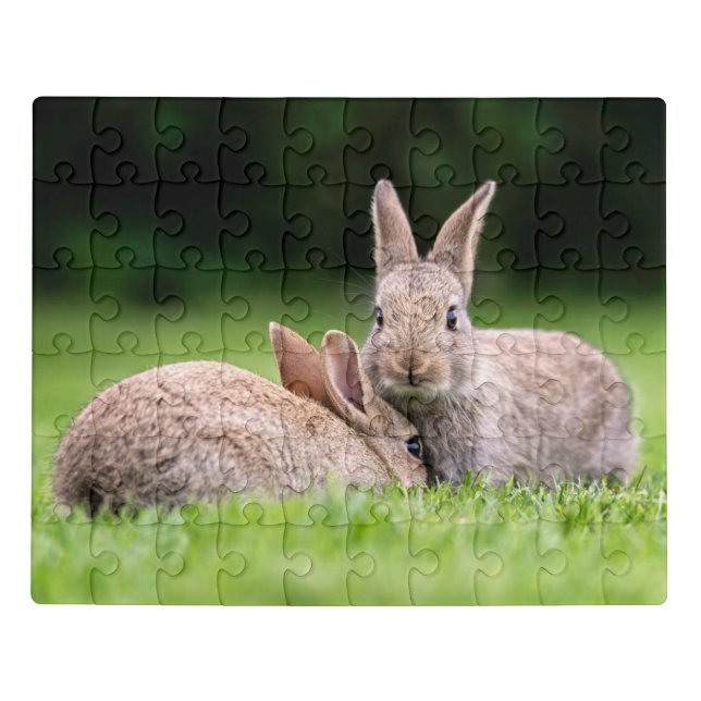 Cutest Baby Animals | Wild Bunny Rabbits Jigsaw Puzzle (Puzzle Horizontal)
