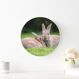 Cutest Baby Animals   Wild Bunny Rabbits Large Clock
