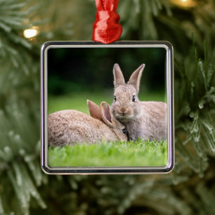 Cutest Baby Animals Wild Bunny Rabbits Metal Ornament