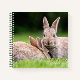 Cutest Baby Animals Wild Bunny Rabbits Notebook