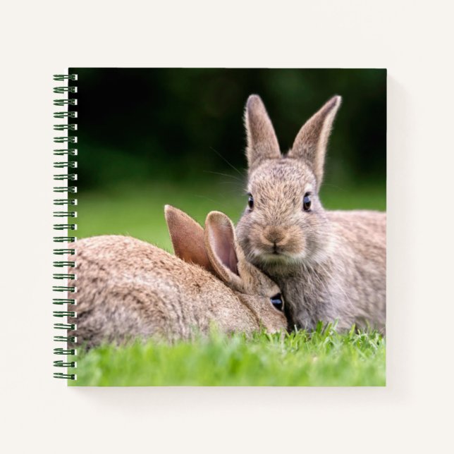 Cutest Baby Animals | Wild Bunny Rabbits Notebook (Front)