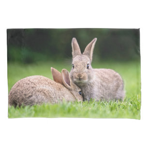 Cutest Baby Animals   Wild Bunny Rabbits Pillow Case