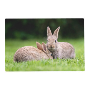 Cutest Baby Animals Wild Bunny Rabbits Placemat