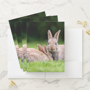Cutest Baby Animals Wild Bunny Rabbits Pocket Folder