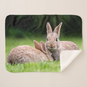 Cutest Baby Animals   Wild Bunny Rabbits Sherpa Blanket