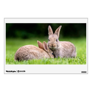 Cutest Baby Animals Wild Bunny Rabbits Wall Decal