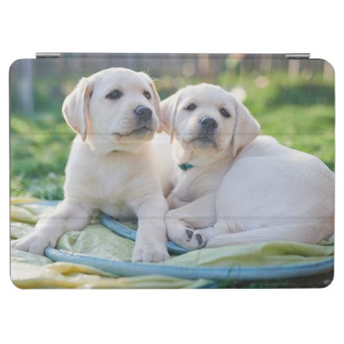 Cutest Baby Animals  Yellow Labrador Retrievers iPad Air Cover