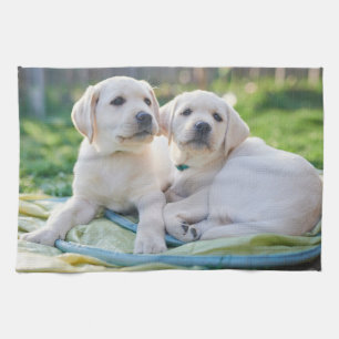 Cutest Baby Animals Yellow Labrador Retrievers Kitchen Towel