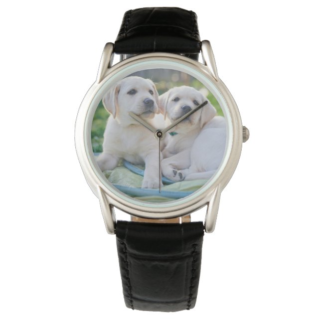 Cutest Baby Animals | Yellow Labrador Retrievers Watch (Front)