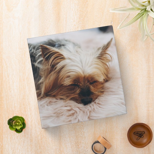 Cutest Baby Animals | Yorkshire Terrier 3 Ring Binder (In Situ)