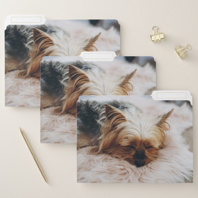 Cutest Baby Animals | Yorkshire Terrier File Folder (Set)