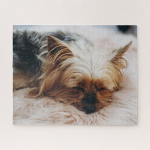 Cutest Baby Animals   Yorkshire Terrier Jigsaw Puzzle