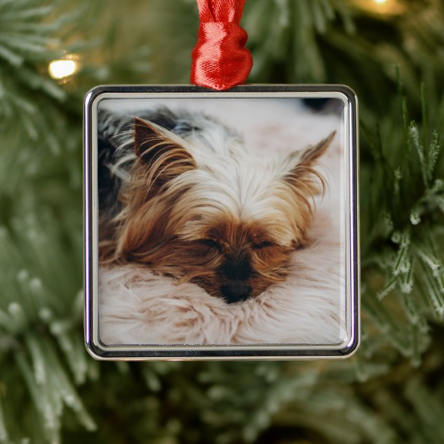 Cutest Baby Animals | Yorkshire Terrier Metal Ornament (Tree)