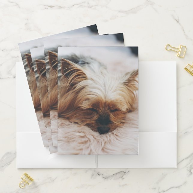 Cutest Baby Animals | Yorkshire Terrier Pocket Folder (In Situ)