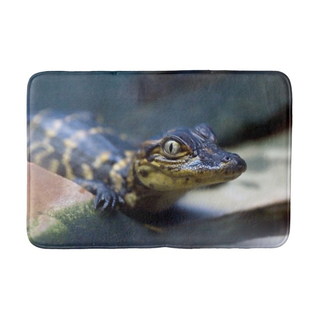 Cutest Baby Animals | Young Alligator Bath Mat (Front)