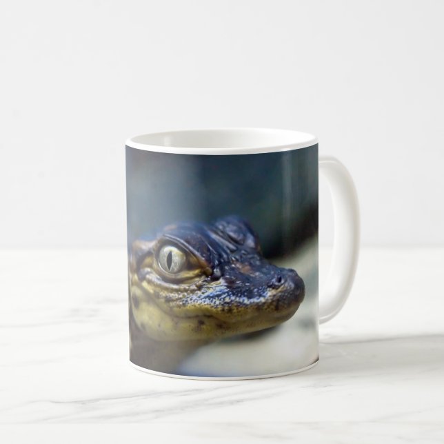 Cutest Baby Animals | Young Alligator Coffee Mug (Front Right)