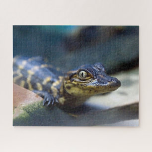 Cutest Baby Animals Young Alligator Jigsaw Puzzle