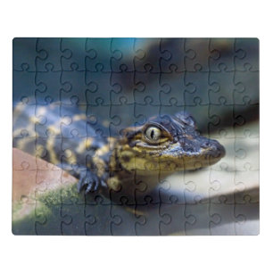 Cutest Baby Animals   Young Alligator Jigsaw Puzzle