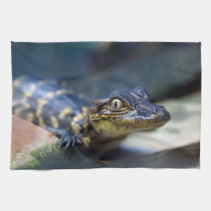 Cutest Baby Animals Young Alligator Kitchen Towel