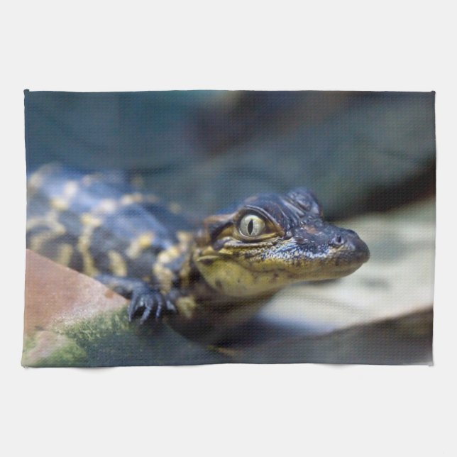 Cutest Baby Animals | Young Alligator Kitchen Towel (Horizontal)