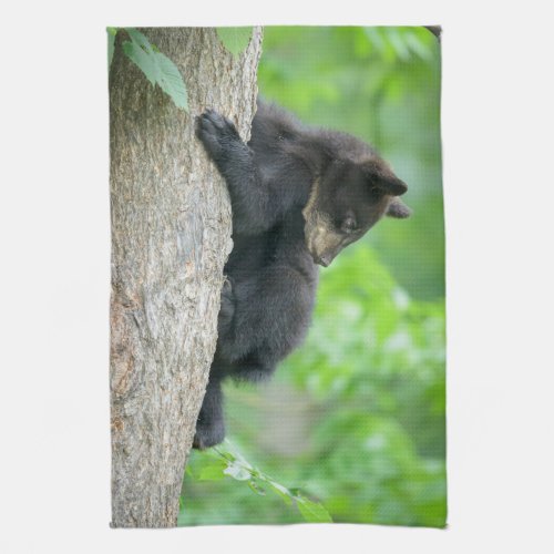 Cutest Baby Animals  Young Black Bear Cub Kitchen Towel