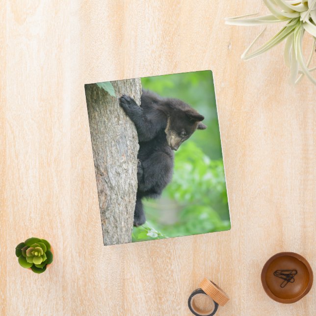 Cutest Baby Animals | Young Black Bear Cub Mini Binder (InSitu)