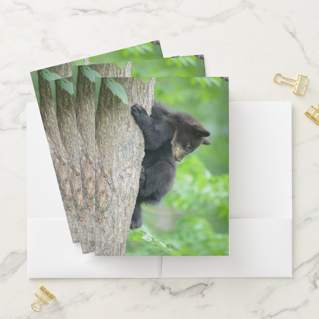 Cutest Baby Animals | Young Black Bear Cub Pocket Folder (In Situ)