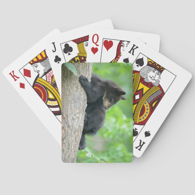 Cutest Baby Animals | Young Black Bear Cub Poker Cards (Back)