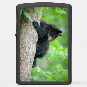 Cutest Baby Animals   Young Black Bear Cub Zippo Lighter