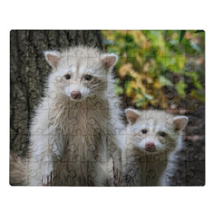 Cutest Baby Animals Young Blonde Raccoons Jigsaw Puzzle