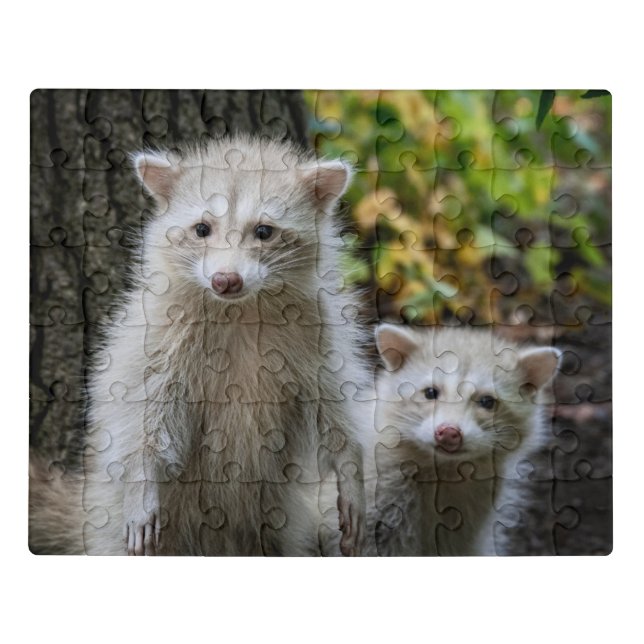 Cutest Baby Animals | Young Blonde Raccoons Jigsaw Puzzle (Puzzle Horizontal)