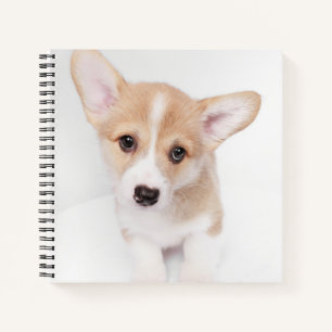 Cutest Baby Animals Young Corgi Puppy Notebook