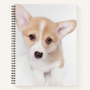 Cutest Baby Animals Young Corgi Puppy Notebook