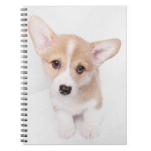 Cutest Baby Animals Young Corgi Puppy Notebook