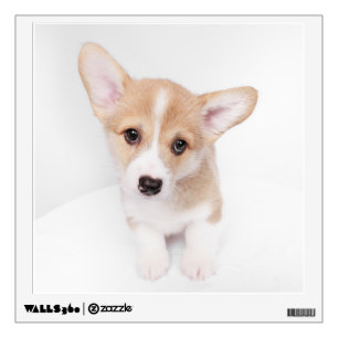Cutest Baby Animals   Young Corgi Puppy Wall Decal