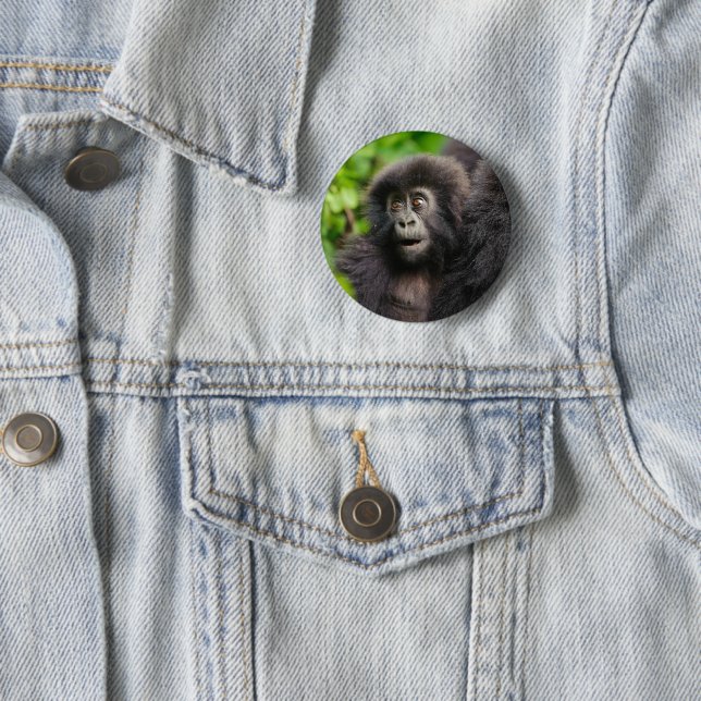 Cutest Baby Animals | Young Mountain Gorilla Button (In Situ)
