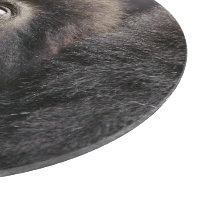 Cutest Baby Animals, Infant Mountain Gorilla Cutting Board