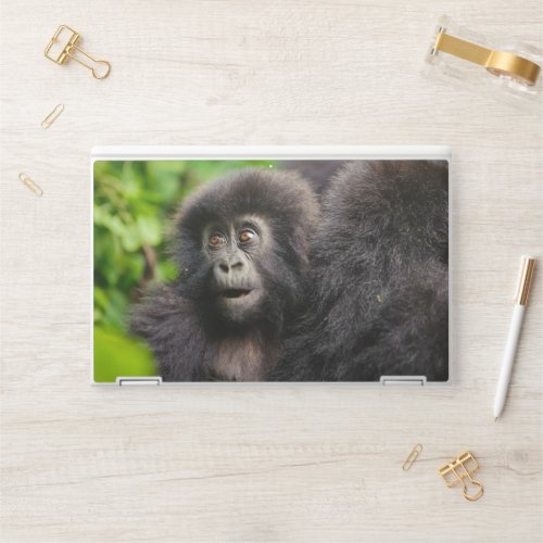 Cutest Baby Animals  Young Mountain Gorilla HP Laptop Skin