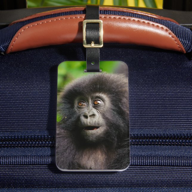 Cutest Baby Animals | Young Mountain Gorilla Luggage Tag (Front Insitu 2)