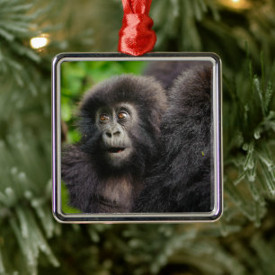 Cutest Baby Animals Young Mountain Gorilla Metal Ornament